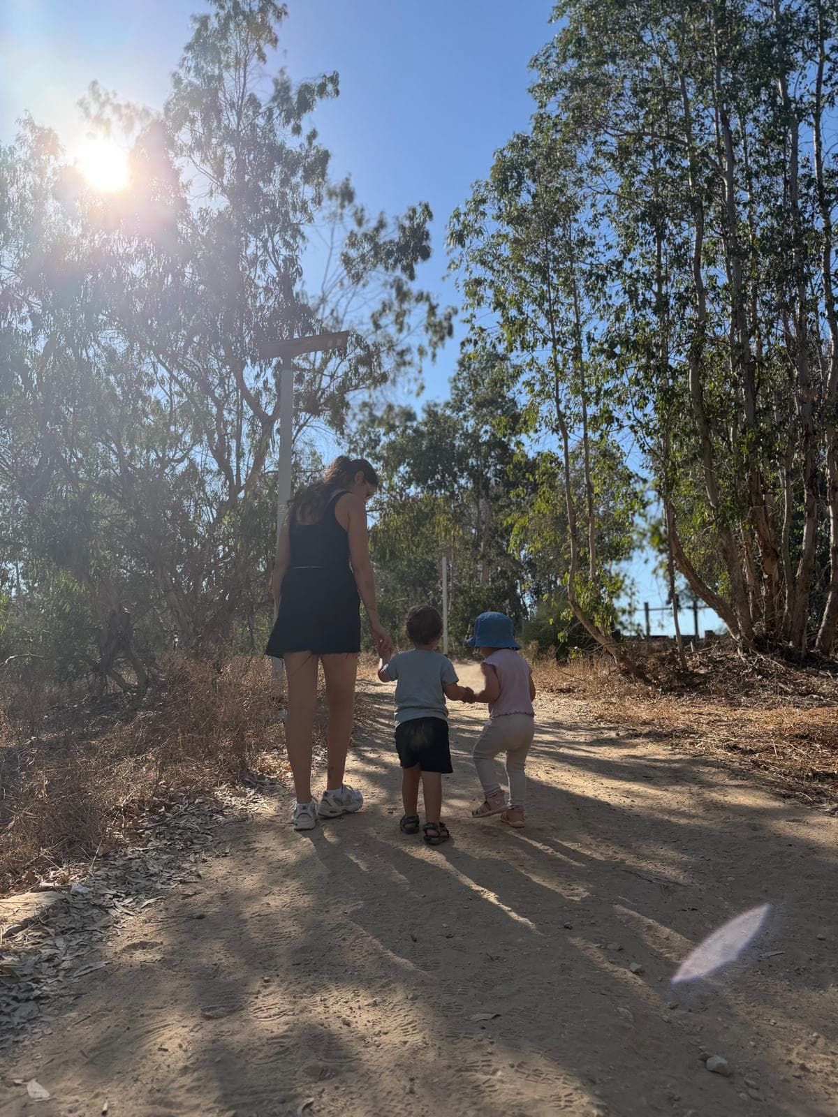 הורה הולך יד ביד עם שני ילדים בשביל ביער, אור בוקר רך בין העצים